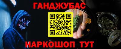 стаф Дубна