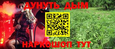 стаф Дубна