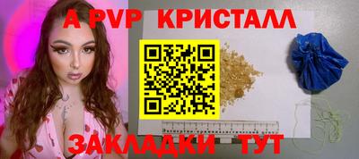 стаф Дубна