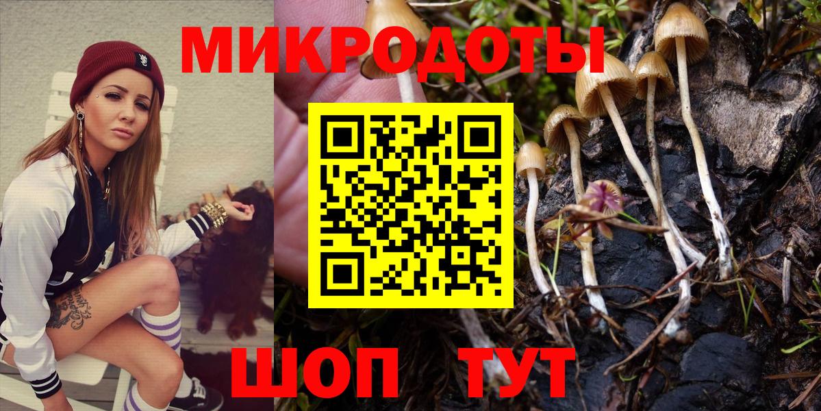 Новокузнецк  Псилоцибиновые грибы мицелий  Псилоцибиновые грибы мухоморы  Вход с VPN 