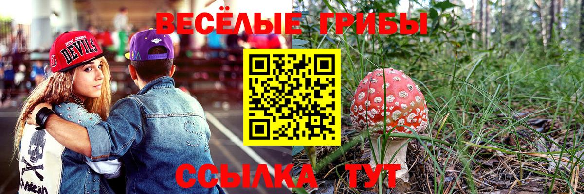 Галлюциногенные грибы Magic Shrooms Новокузнецк